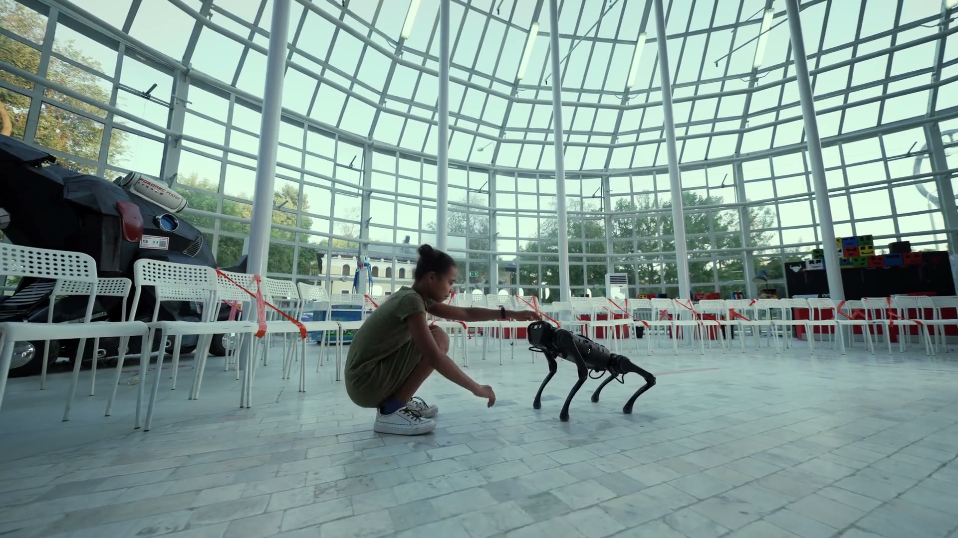 A robot dog performing at an event
